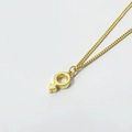Collar de plata de ley S925 bañada en oro con un colgante de símbolo masculino pulido - Dorado
