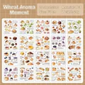 PET-Aufkleber-Set Weizenaroma mit 20 Stück Brot- und Dessert-Illustrationen für Journal - Wheat Aroma Moment