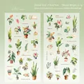 Detaillierte PET-Sticker Set mit tropischen Aquarellpflanzen und Maßen des Produkts - Tropische Topfpflanzen