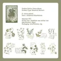 Vintage PET botanical sticker set with 30 pieces of green plants for scrapbooking and DIY - Green Plant