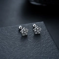 Pair of silver flower earrings in titanium steel with zircon crystals on a black base - Zirconia Flower Style (X1134-A)