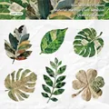 Vintage newspaper style leaf stickers set for scrapbooking, includes 6 botanical designs - Leaf Veins / 6pcs