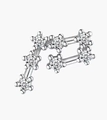 925 Silber Wassermann Sternzeichen Ohrstecker mit funkelnden Zirkonia-Steinen - 925er Silber / Steinbock