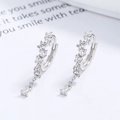 Elegant 925 sterling silver water drop tassel earrings with sparkling cubic zirconia - 925 Silver / White Gold/Pair