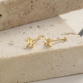 Golden 925 silver Pisces zodiac stud earrings with matte finish on beige stone - 925 Silver (With Rubber Stopper) / Pisces (A-69-16)