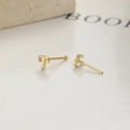 Boucles d'oreilles Bélier en argent 925 doré, design astrologique sur une pierre - Argent 925 (Avec Bouchon en Caoutchouc) / Bélier (A-69-16)