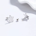 Boucles d'oreilles étoile en argent 925 avec texture martelée et fermoir à vis - Or Blanc / Petit