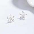 Eleganti orecchini a lobo a forma di fiore in argento 925 con centro in zircone - Argento 925 / Argento