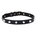 Schwarzes Leder-Choker-Halsband im Punk-Stil mit silbernen Metallnieten und Schnalle - Schwarz