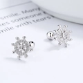 925 sterling zilveren roer oorknopjes met fonkelende zirkonia en schroefsluiting - 925 zilver / Zilver