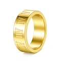 Anillo ancho de acero de titanio dorado pulido con números romanos grabados - US 7 / 8mm Dorado