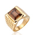 Gold-tone titanium steel men's ring with a rectangular brown gemstone and textured band - US 7 / Gold