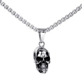 Collar para hombre con colgante de calavera de acero inoxidable pulido y cadena - Colgante de Calavera Color Acero