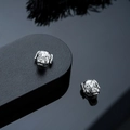 Dettaglio macro di orecchini magnetici a forma di cane in argento vintage rifinito - Stile Orecchini a Clip Argento