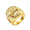 Gold-plated horseshoe ring for men with a horse head relief and sparkling white zircons - US 7 / Gold
