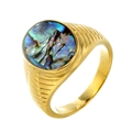 Anello con sigillo dorato con inserto in abalone ovale dai riflessi blu e verdi cangianti - US 7 / Oro