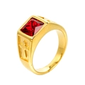 Anello in acciaio al titanio dorato con rubino rettangolare e croce a rilievo - US 7 / Oro Zircone Rosso