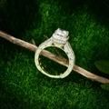 Elegant S925 silver gold-plated ring with 7mm round diamond on natural moss background - US 6 / Gold