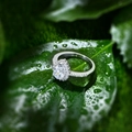 Eleganter 925er Silberring mit tropfenförmigem Zirkonia und Halo auf grünen Blättern - 925er Silber / Ring Größe 6