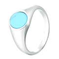 Minimalist titanium steel ring with round turquoise stone and polished silver finish - US 7 / Steel Color Turquoise