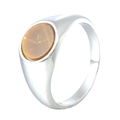 Minimalist silver steel signet ring featuring a polished oval brown tiger eye stone - US 7 / Steel Tiger Eye