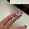 Elegant s925 sterling silver four-pointed star earrings with frosted texture on hand - Silver (EHL029)
