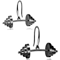 Pendientes de pesas pulidos para amantes del fitness sobre fondo blanco puro - Color gunmetal
