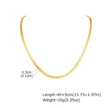 Collana a catena piatta color oro dimensioni 40+5cm di lunghezza e 0,3cm di larghezza - Catena a Lisca di Pesce Piatta (NC-2307G-40-3)