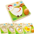Houten puzzel met 4 lagen over de levenscyclus van een hen voor biologisch basisonderwijs - Groeiproces van de Hen (MG03)