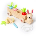 Wooden rabbit pull-along Montessori toy with colorful carrots and matching holes - Rabbit Style (Cuttable Carrots)