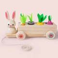 Wooden rabbit pull cart toy with colorful carrot and vegetable sorting blocks - Rabbit Style (Fruit Pairing) 0.47