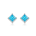 Oorknopjes van S925 zilver met hemelblauwe prinses geslepen steen en halo van diamanten - 925 zilver / Zeeblauwe Oorknopjes