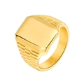 Anillo de sello cuadrado dorado para hombre con textura de patrón escalonado en los lados - US 10 / Dorado