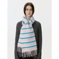 Pink and blue striped wool blend scarf with white tassels on grey sweater - Pink Green Stripes