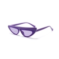 Flat top cat eye sunglasses with purple frames and translucent lenses for men - Purple