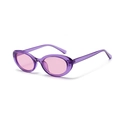 Retro small frame sunglasses with purple resin frames and pink lenses for women - Purple Frame Purple Lens (Purple)