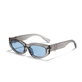 Occhiali da sole cat-eye con montatura grigia trasparente, lenti blu e dettaglio B - Montatura Grigio Trasparente Lenti Blu
