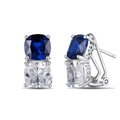 S925 Silberohrringe mit blauem und weißem Zirkon im Kissenschliff und Filigran - Platin (DY110261)
