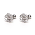 Surgical steel snowflake stud earrings featuring clear zircon and secure screw ball backs - Silver