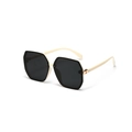 Gafas de sol geométricas hexagonales grandes con montura crema y lentes negras de moda - Marco Beige Lente Gris