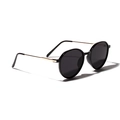 Gafas de sol redondas negras retro con patillas de metal dorado y detalles - Negro Brillante / Lentes Grises