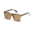 Square tortoise shell sunglasses with oversized frames and golden arrow metal accents - Tortoise Tea Lens
