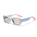 Gafas de sol Y2K cuadradas con montura azul macarrón y rosa con lentes tintadas - Azul Mate