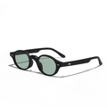 Retro black oval sunglasses with light green lenses and silver wing metal ornaments - Black Frame Green Lens