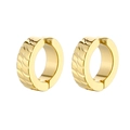 Primo piano dettagliato di orecchini a cerchio dorati con texture a spirale unica - Oro (Singolo)
