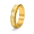 Golden hammered titanium steel spinner ring for men with fish scale texture - US 6 / Gold