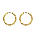 Minimalistische 18K vergoldete Edelstahl-Creolen mit gedrehter Spiraltextur für Damen - 13mm / Gold