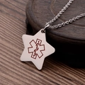 Gepolijste roestvrijstalen Star of Life medische alarmster hanger ketting voor heren - Zilver (Met Ketting)