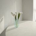 Vaso in acrilico azzurro ondulato con tulipani bianchi per decorazione minimalista - Stile Tulipano Teal Vetro