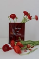 Close-up of a red translucent acrylic book vase with white floral text and fresh flowers - Red
